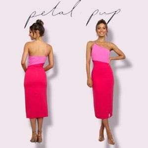 Petal & Pup Xiomar One Shoulder Midi Dress Pink Red Size 0 Event